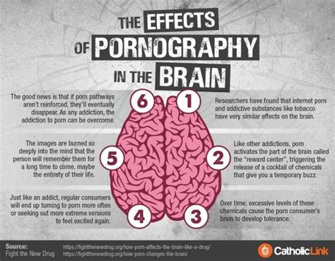 porn causes brain damage|Pornography Consumption and Cognitive